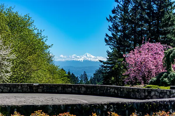 Council Crest Park Free Things to do in Portland