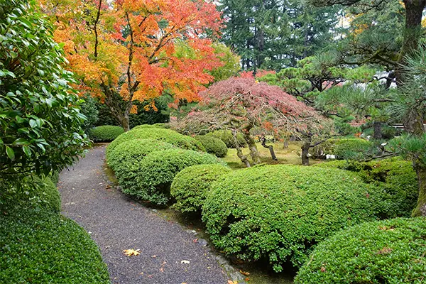 Portland Japanese Garden