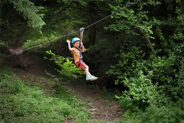Adventureworks Zipline Forest