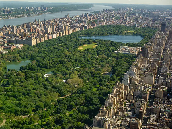 Central Park in Midtown NYC