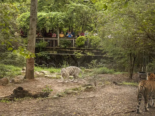 Nashville Zoo Things to do in Nashville with Family