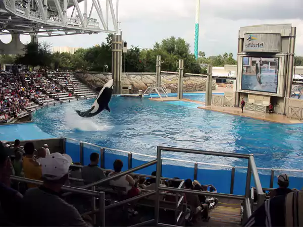 Sea World Orlando
