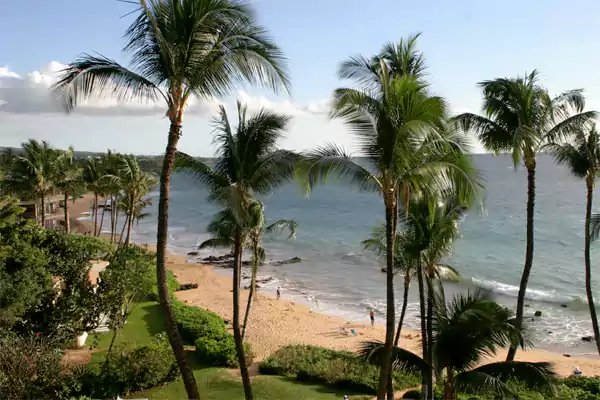 Kihei Beach Maui Hawaii