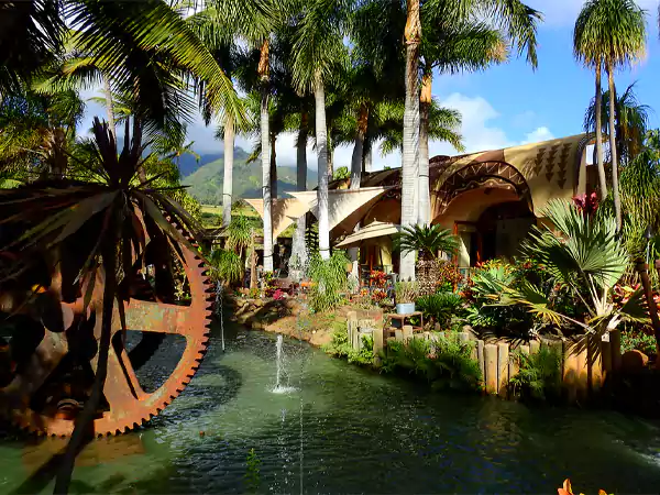 Maui Tropical Plantation