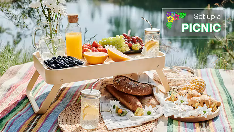 Big Island Hawaii Picnic