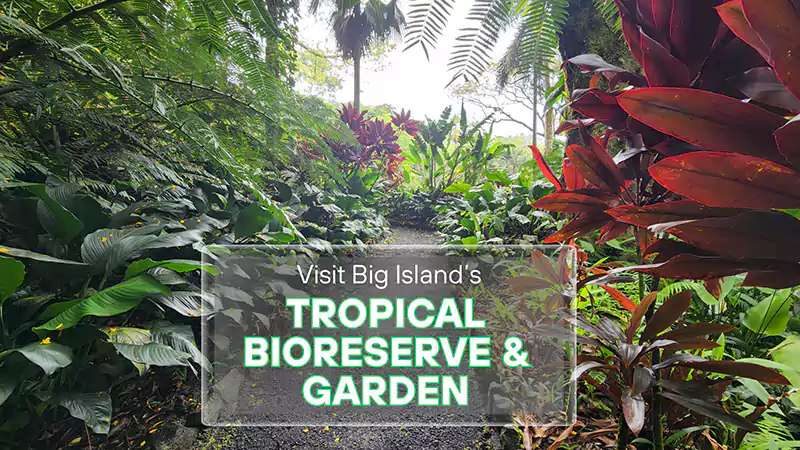 Big Islands Tropical Bioreserve and Garden