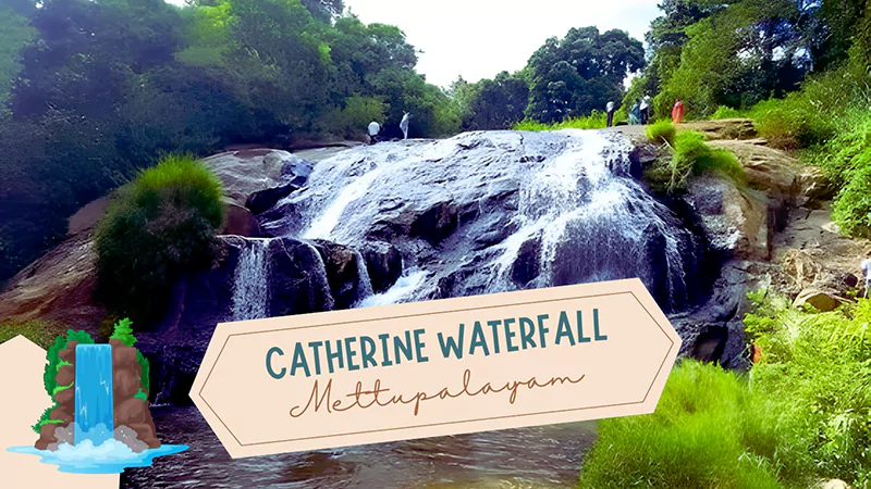 Catherine Waterfalll