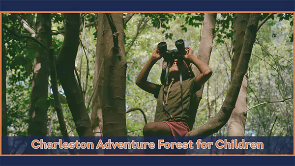 Charleston Adventure Forest for Children