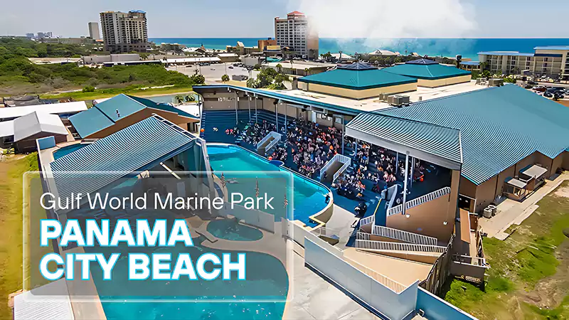 Gulf World Marine Park Panama City Beach