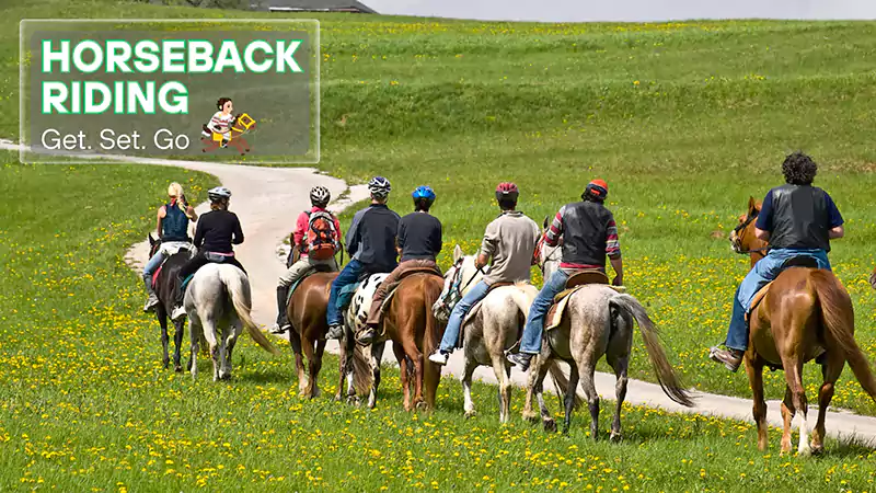 Horseback Ridings