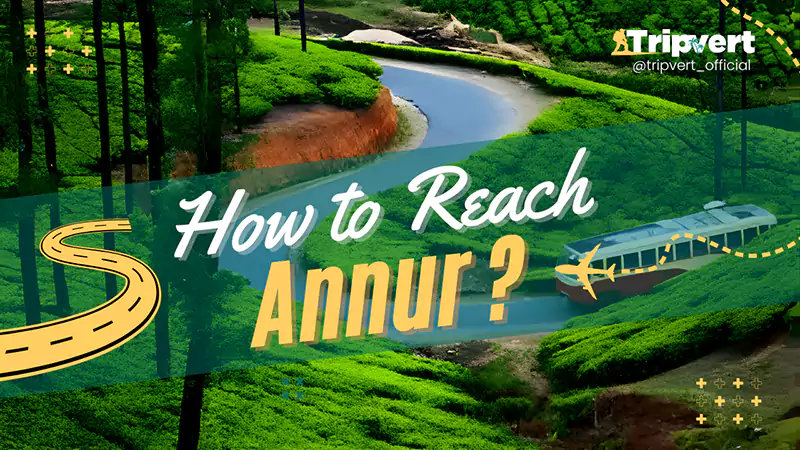 How to Reach Annur