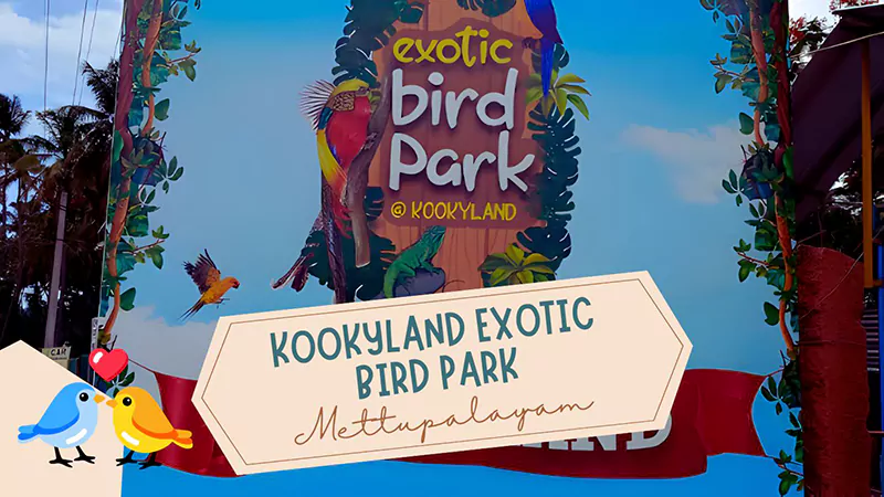 Kookyland Exotic Bird Parkk