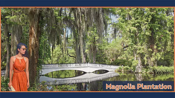 Magnolia Plantation Must See Things to do in Charleston SC