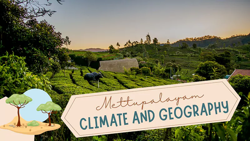 Mettupalayam Climate and Geography