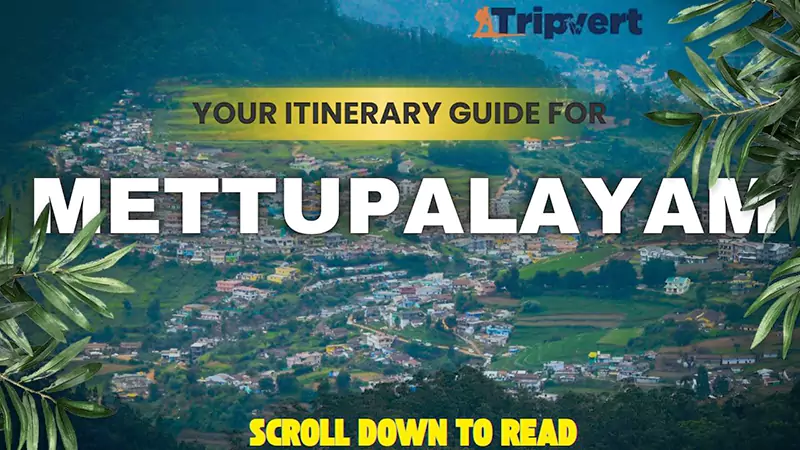 Mettupalayam Tamil Nadu