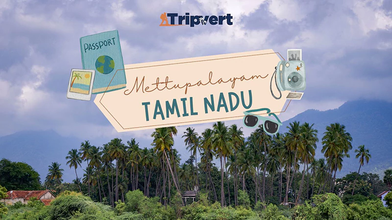 Mettupalayam Tamil Naduu