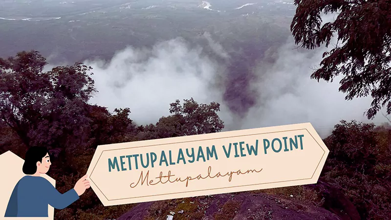 Mettupalayam View Pointt