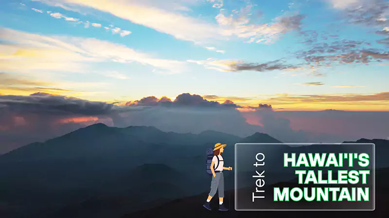Trek to Hawaiis Tallest Mountain