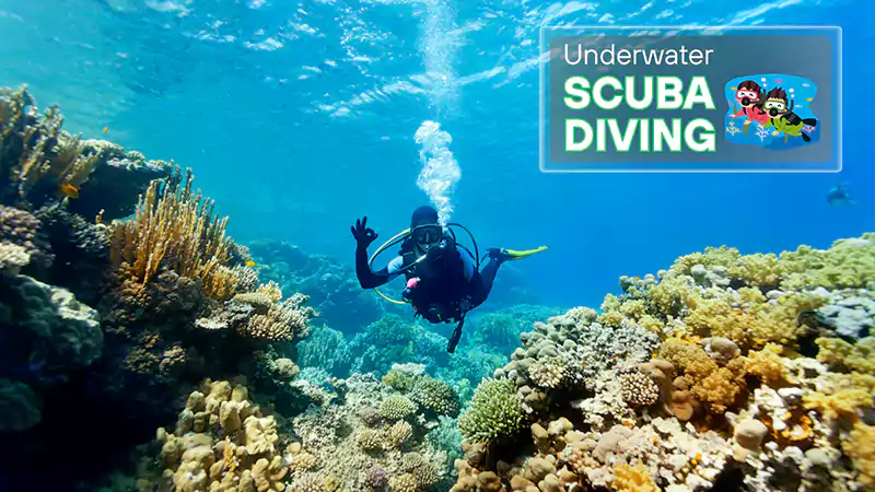 Underwater Scuba Diving