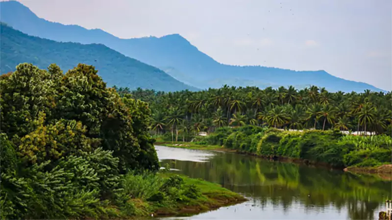 d-Mettupalayam Tamil Nadu