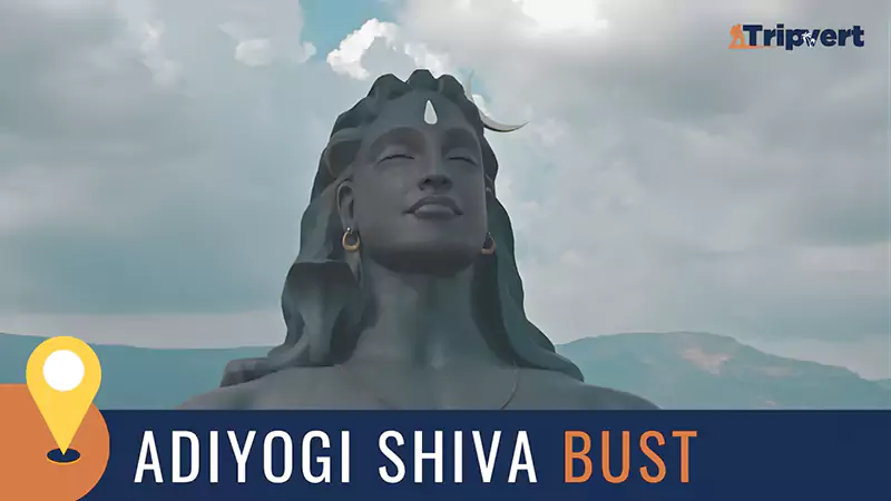 Adiyogi Shiva bustt