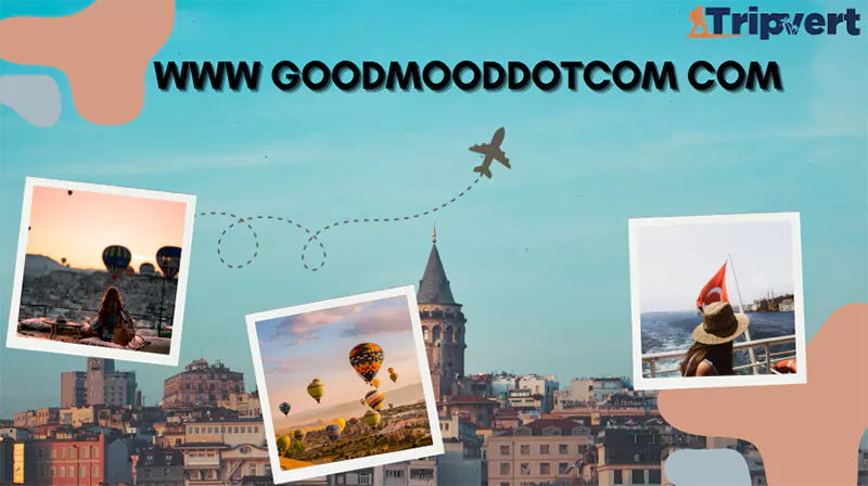 A Quick Review of www goodmooddotcom com