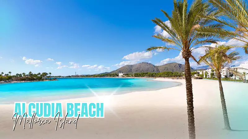 Alcudia Beach