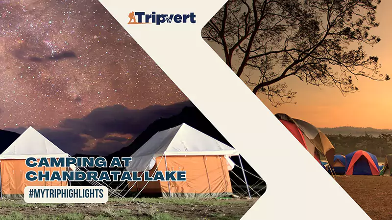 Camping at Chandratal Lake