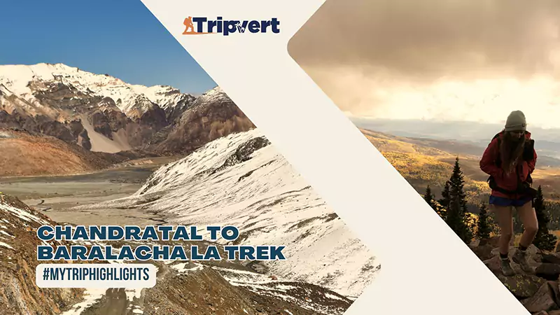 Chandratal to Baralacha La Trek