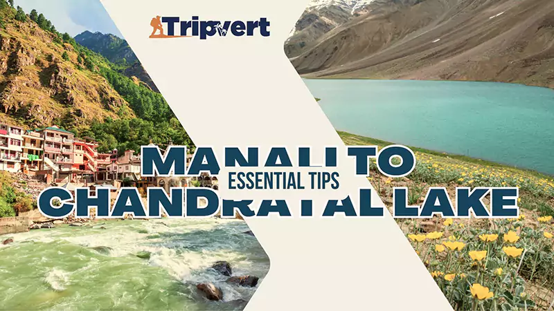 Manali to Chandratal Lake Essential Tips