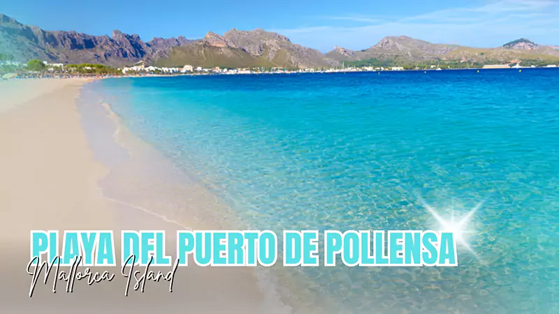 Playa del Puerto de Pollensa
