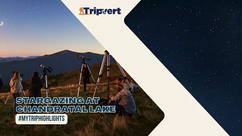 Stargazing at Chandratal Lake