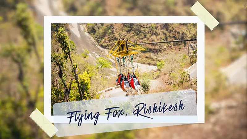 Flying Fox Rishikesh