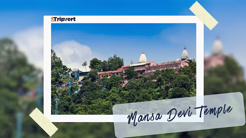 Mansa Devi Temple