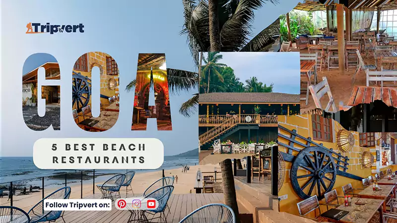 5 Best Beach Restaurants in Goa