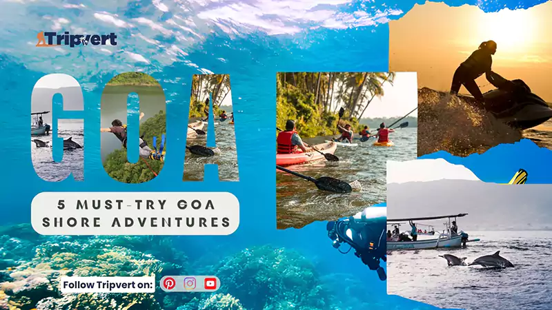 5 must try Goa shore adventures
