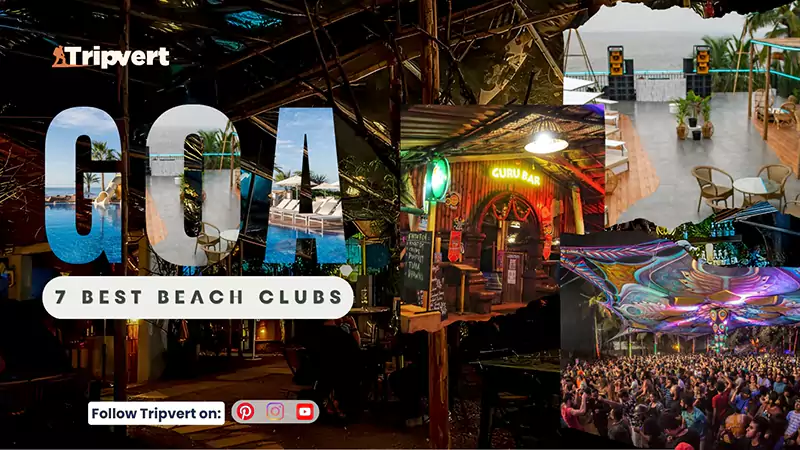 Best Beach Clubs in Goa