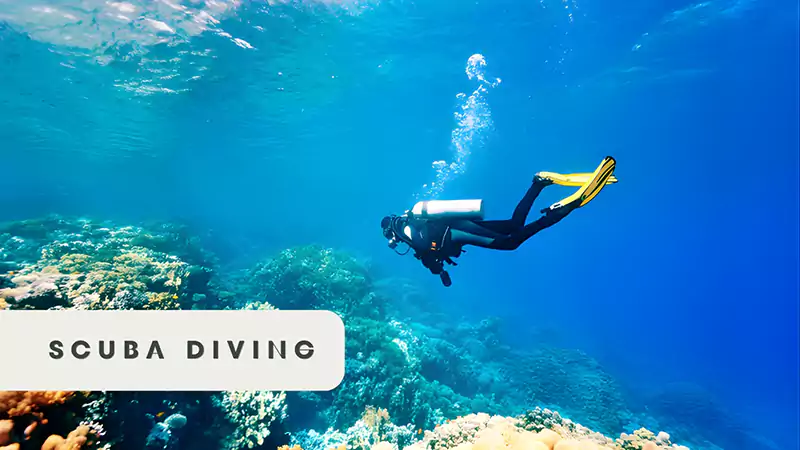 Scuba Diving