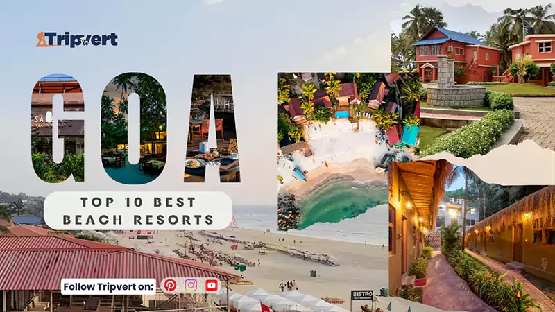 Top 10 Best Beach Resorts In Goa