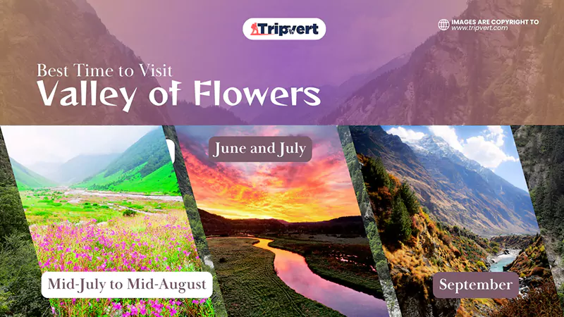 Best Time to Visit Valley of Flowers