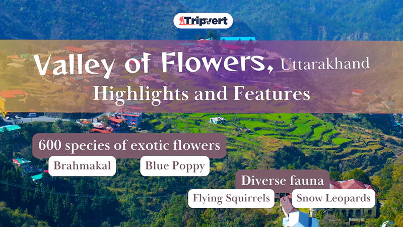 Highlights and Features of Valley of Flowers Uttarakhand