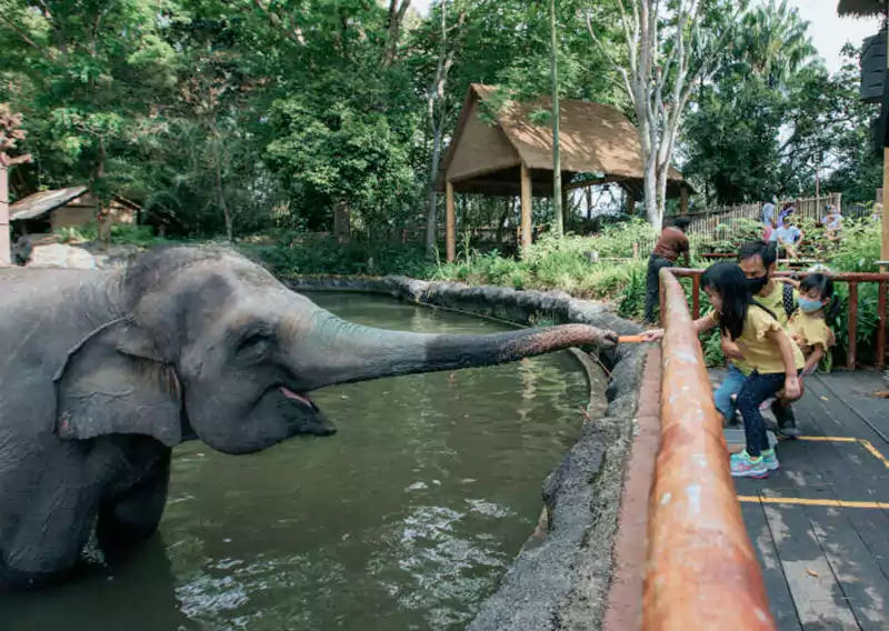 Singapore Botanic Garden