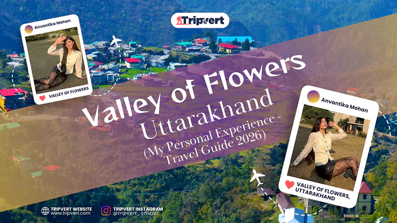 The Valley of Flowers