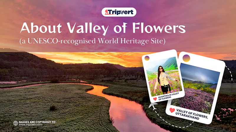 The Valley of Flowerss