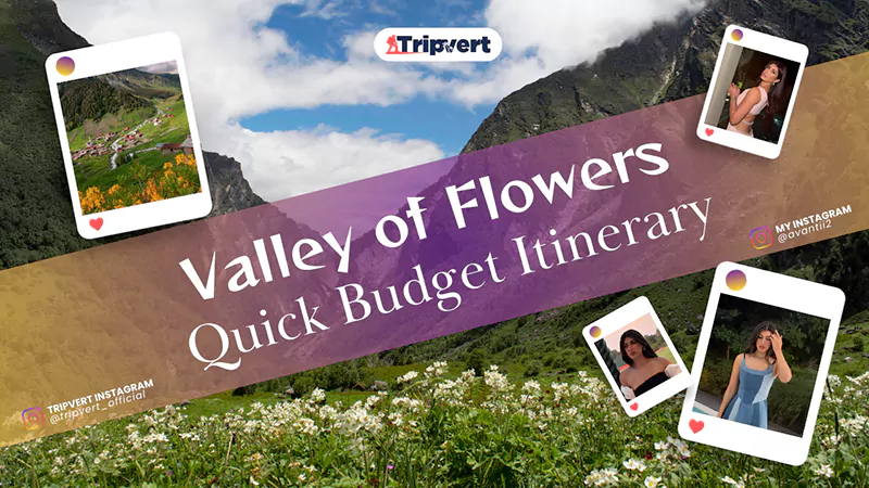 Valley of Flowers Quick Budget Itinerary