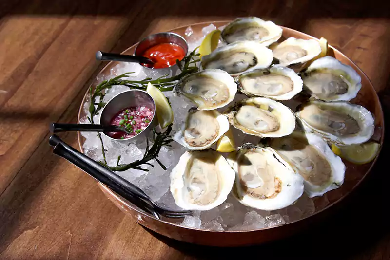 Chesapeake Bay Oysters