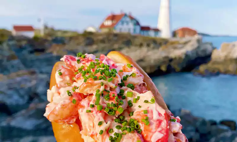 Lobster Rolls