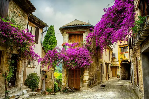 Provence 