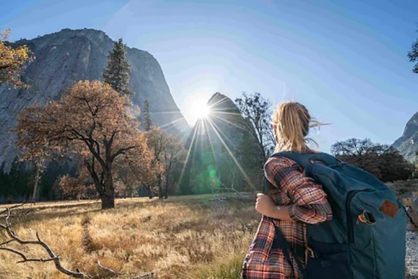 One-Day Yosemite Tour