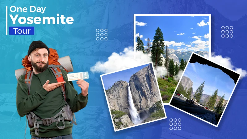 One-Day Yosemite Tour